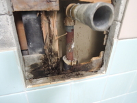 タイル補修のため水栓をはずしたら、内部に水漏れによる木部の腐食が見つかりました。放置すれば被害が広がる恐れがありました。配管・壁下地も補修しましたから工期は伸びてしまいましたが、これでひとまず安心です。